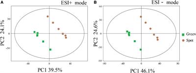 Endosphere Microbiome and Metabolic Differences Between the Spots and Green Parts of Tricyrtis macropoda Leaves